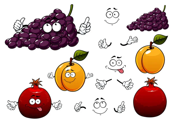 Frutas de uva, albaricoque y granada — Vector de stock