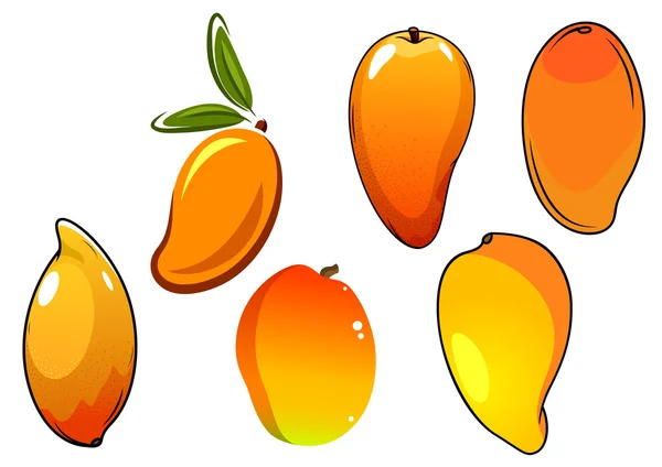 Orange fresh tropical mango fruits — Stock Vector