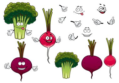 Broccoli, radish and beet vegetables 