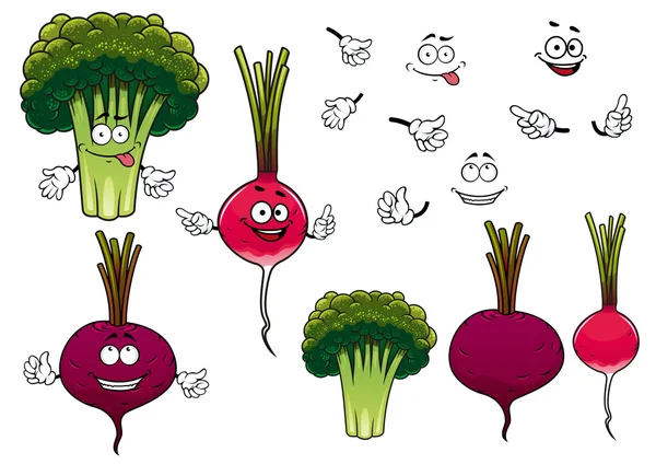 Broccoli, radish and beet vegetables — Stock Vector