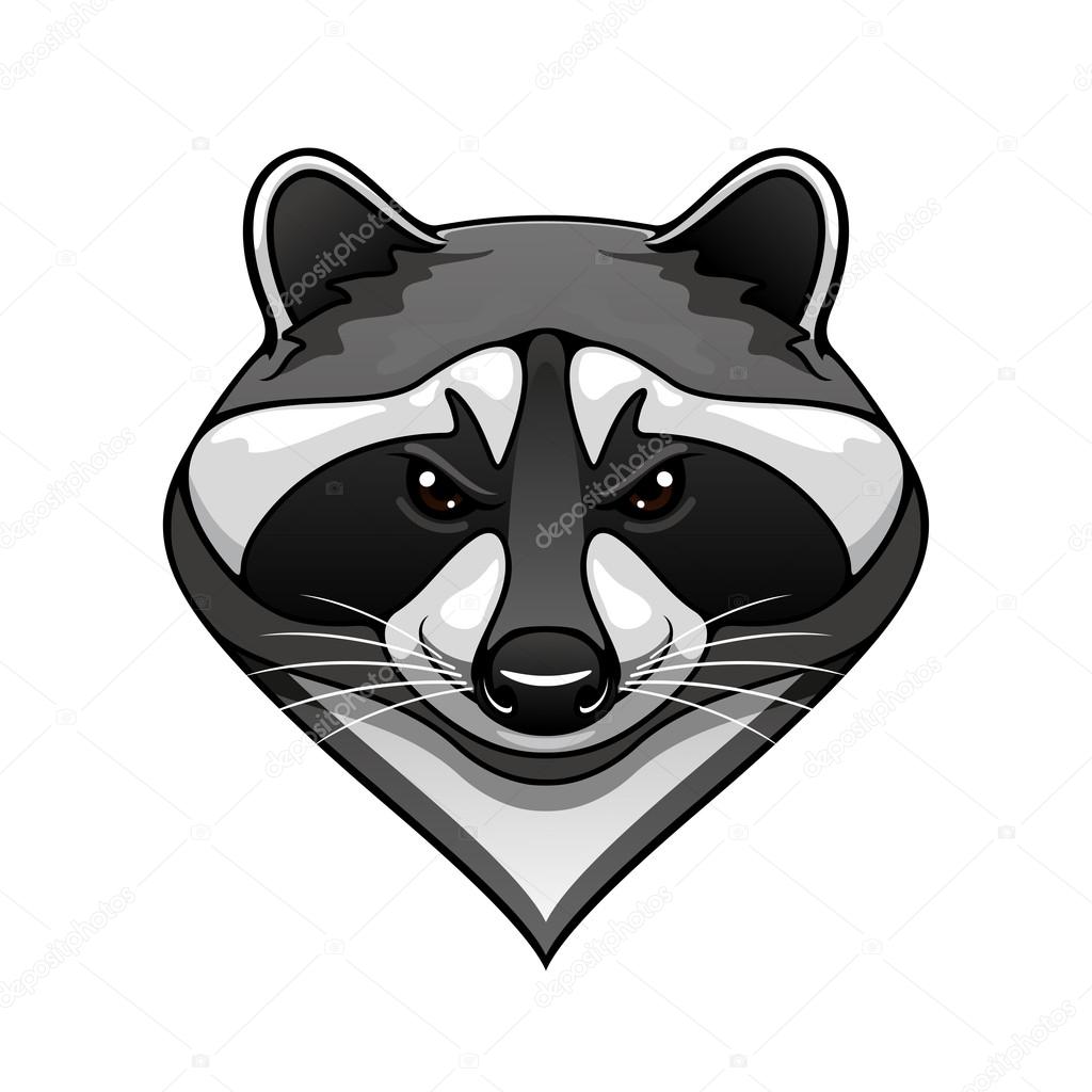 Cartoon wild raccoon animal mascot for sport team or wildlife themes isolated on white