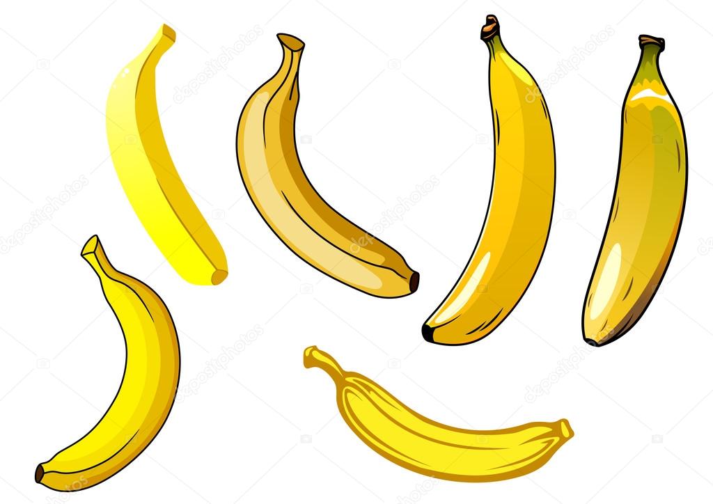 Fresh ripe yellow banana fruits