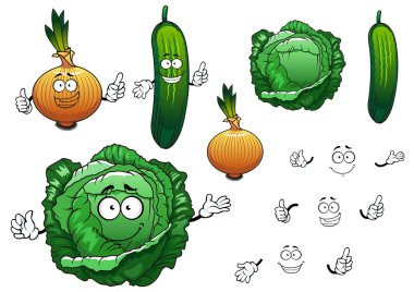Cabbage, cucumber and onion vegetables