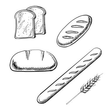 Toasts, long loaves, baguette and wheat ear