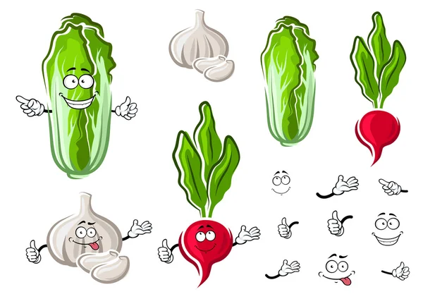 Chinese cabbage, garlic and radish vegetables — 图库矢量图片