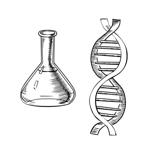 Frasco de laboratório e hélice de ADN —  Vetores de Stock