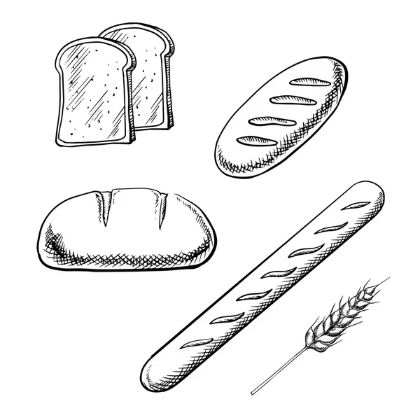 Pani tostati, pani lunghi, baguette e spighe di grano — Vettoriale Stock