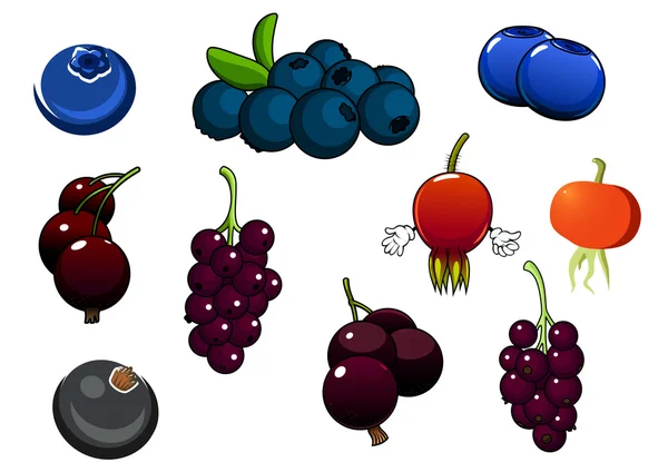 Fresh blueberries, blackcurrant and briars fruits — Wektor stockowy