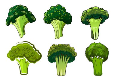 Isolated green ripe broccoli vegetables