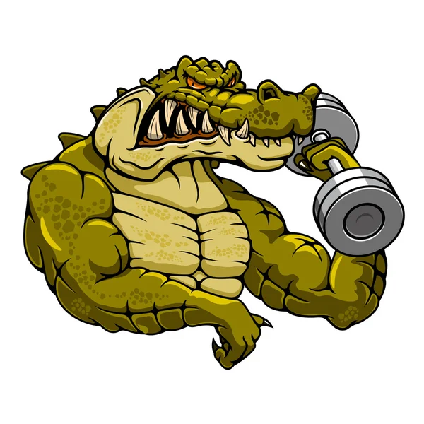 Cartoon crocodile mascot with dumbbell — Stok Vektör