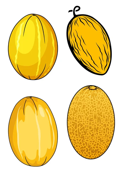 Ripe isolated yellow melon fruits — Stock Vector