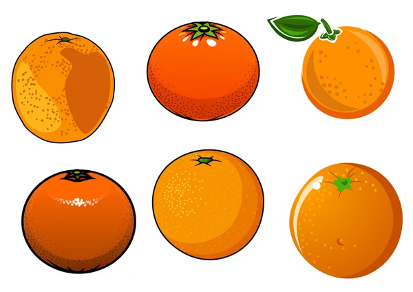 Isolated ripe and juicy orange fruits — Stock Vector