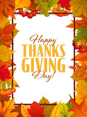 Sonbahar mevsimi yaprakları, böğürtlenleri ve vektör tebrik kartı olan Şükran Günü poster çerçeveniz kutlu olsun. Akçaağaç, meşe, kavak ve huş yaprakları Şükran Günü tatili için çilek hasadı eşliğinde yapraklar.