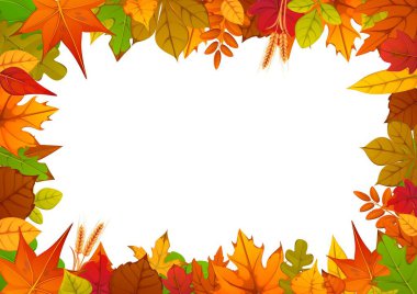 Sonbahar yaprakları mevsimlik olarak kırmızı, turuncu, sarı ve kahverengi yapraklar ve buğday kulakları ile kaplanır. Şükran Günü sonbahar tatili sınırında davetiyeler, tebrik kartları, el ilanları ve mevsimlik satışlar için şablon.