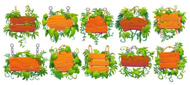 Wooden sign boards with tropical jungle lianas set. Information notice or road wooden signpost with jungle vine shrubs. Hanging on rope and chain cartoon vector sign boards with liana plant leaves