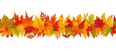 Sonbahar yaprakları kırmızı, turuncu, sarı, kahverengi ve yeşil meşe, akçaağaç, huş ağacı ve yaban mersini yapraklarıyla birleşik vektör sınırına sahiptir. Sonbahar mevsimi dekorasyonu, çiçek çelengi.