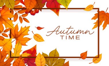 Sonbahar posteri veya güz yapraklı tebrik kartı ve turuncu, kırmızı ve sarı meşe, akçaağaç ve huş ağacından oluşan sınır çerçevesi. Akçaağaç ve meşe yaprakları çerçeveli sonbahar mevsimi vektör pankartı