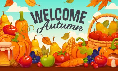 Sonbahar hasat festivali zengin hasat taşıyıcı pankartı, balkabakları, elmalar ve armutlar. Üzüm, mantar, mısır koçanı ve domates ahşap masada havuç ve sonbahar sonbahar hasat yaprakları