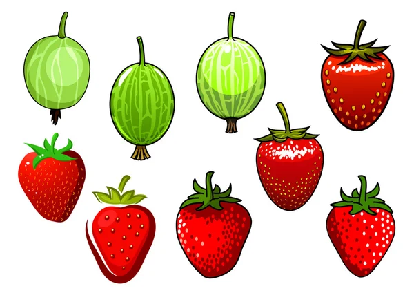 Fresh red strawberry and green gooseberry — Stock Vector