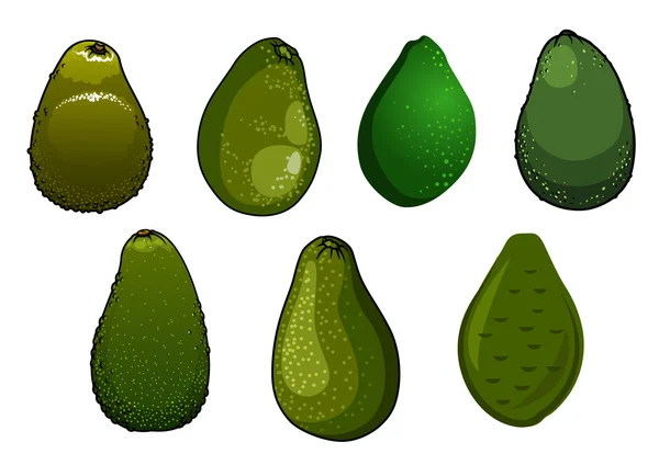 Frutos de abacate isolados de verde escuro —  Vetores de Stock