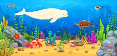 Beyaz balina ve balık su altında oyun oynuyorlar, karikatür vektör arka planı. Deniz ya da okyanus macera oyunu mercan resif balıkları, kaplumbağa ve deniz yosunlarındaki komik yengeç karakteri sualtı manzarası