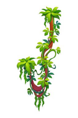 Tropikal ormanların ya da yağmur ormanlarının Liana asma dalı, vektör dikey sarmaşık filizleri. Yeşil yaprakları ve dalları olan çizgi film lianası yağmur ormanlarında ya da Amazon orman bitkilerinde çerçeve için sürünüyor