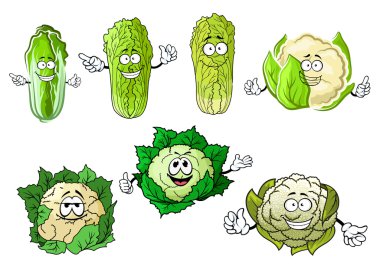Cartoon cauliflower and cabbage