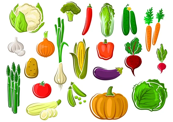 Healthy fresh ripe isolated farm vegetables — Stock Vector