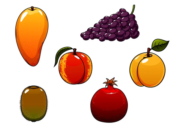 Juicy and sweet isolated fresh fruits set — ストックベクタ