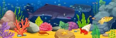 Karikatür sperm balinası ve mercan resifleri. Mercan resifleri arasında yüzen dev, dost canlısı balinayla birlikte deniz altı manzarasını taşıyacağız. Tropikal balık sürüsü, kırmızı yengeç, karides ve yosun.