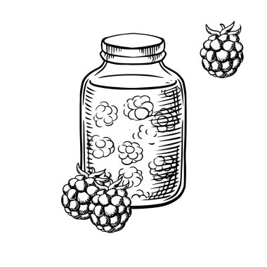 Sketch of raspberry jam in jar and berries