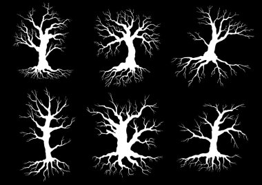 Dead old trees silhouettes with roots
