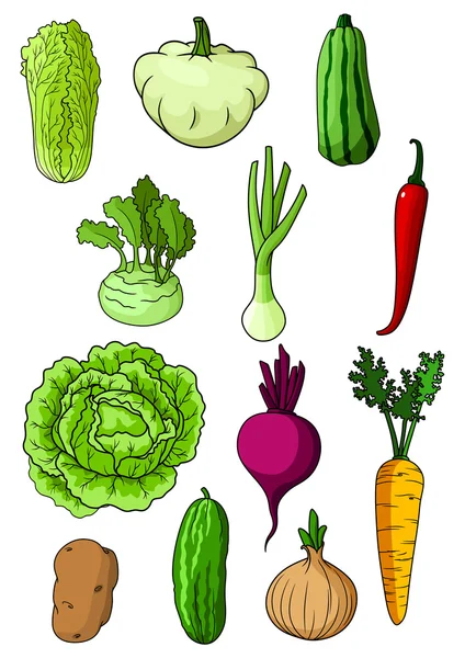 Fresh isolated organic farm vegetables — Stock Vector