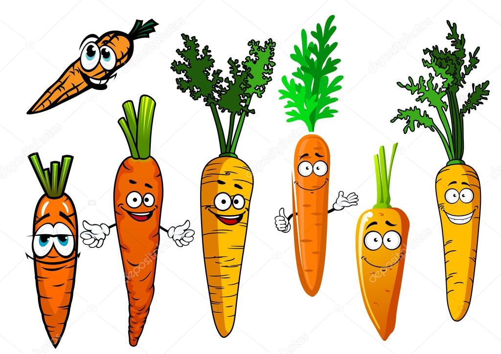 Cartoon isolated orange carrot vegetables