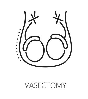 Vazektomi doğum kontrol yöntemi simgesi ya da etiketi. Doğum kontrol tekniği ince çizgi vektör sembolü, aile planlaması ve doğum kontrol yöntemi işareti. Testisleri kesilmiş hamilelik önleme simgesi