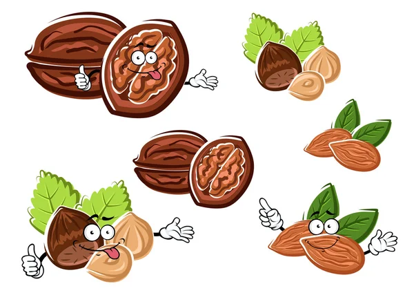 Almond, walnut and hazelnut with kernels — Διανυσματικό Αρχείο