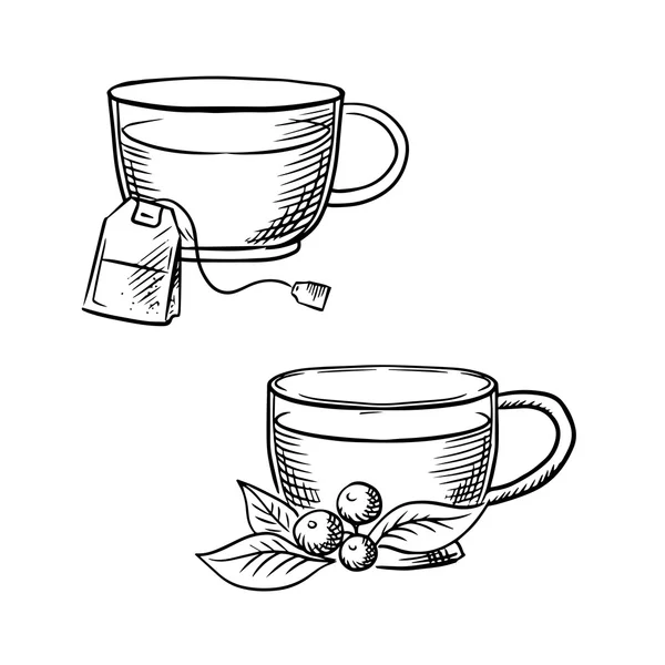 Cup of tea with teabag and cowberry sketches — Stock Vector