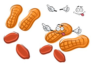 Cartoon brown peanut with shell and nuts