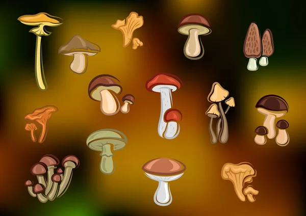 Forest edible mushrooms set on blurred background — Stock vektor