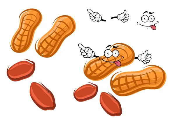 Карикатурный коричневый арахис с орехами и скорлупой — стоковый вектор