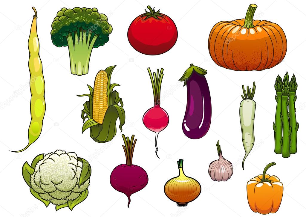 Fresh vegetables from the autumn harvest
