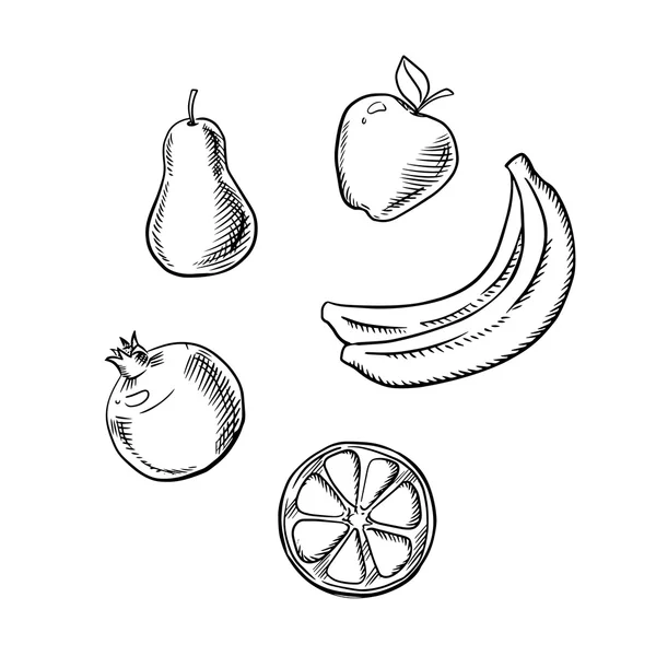 Mela, pera, limone, banana e melograno — Vettoriale Stock
