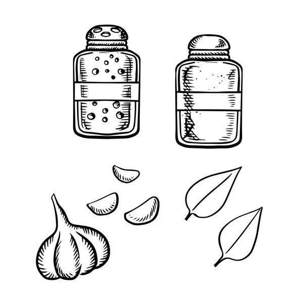 Salt, pepper, garlic and basil sketch — Stock Vector
