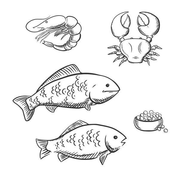 Fish, shrimp, crab and caviar sketches — Stockový vektor