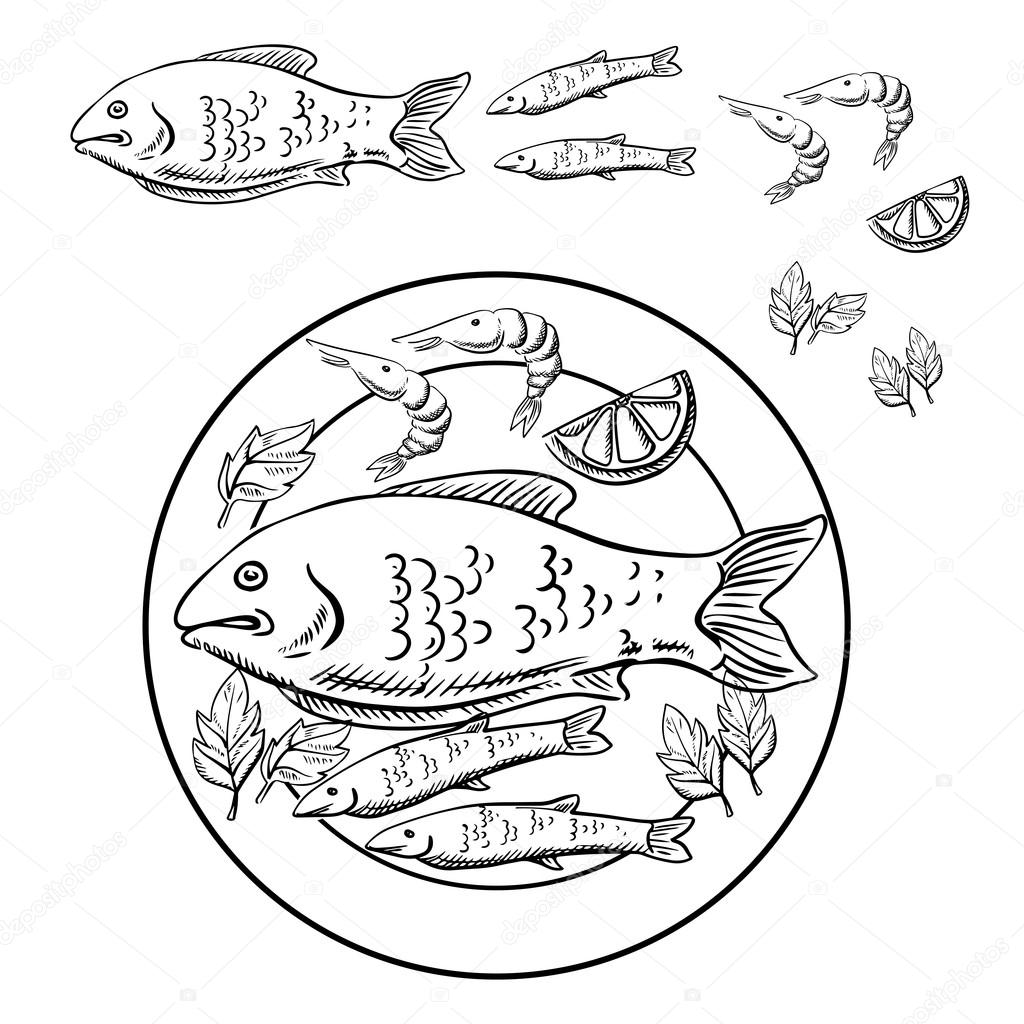 Sketch of seafood with fish and shrimps