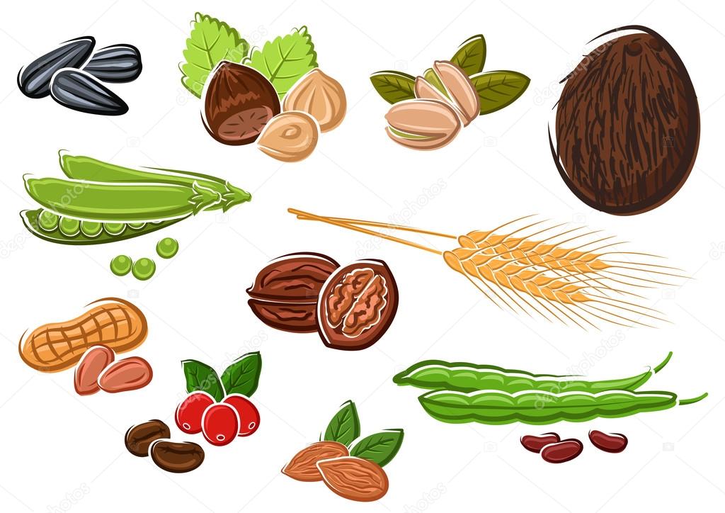 Appetizing nuts, beans, seeds and wheat