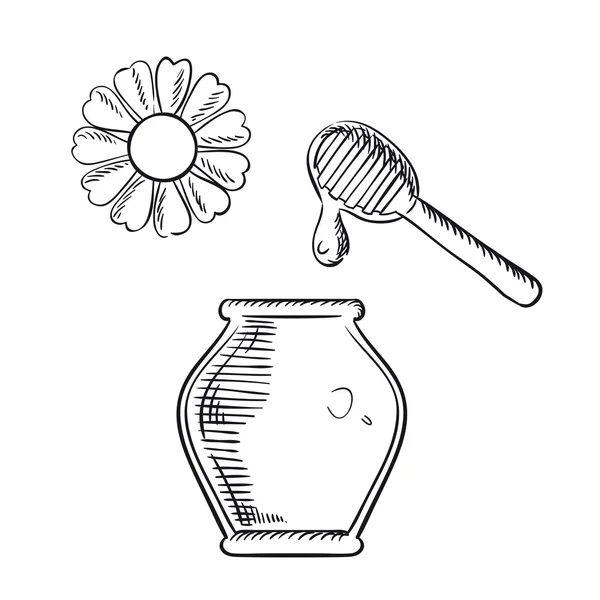 Frasco de mel com dipper e flor — Vetor de Stock