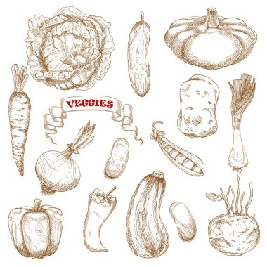 Healthy organic isolated vegetables sketches