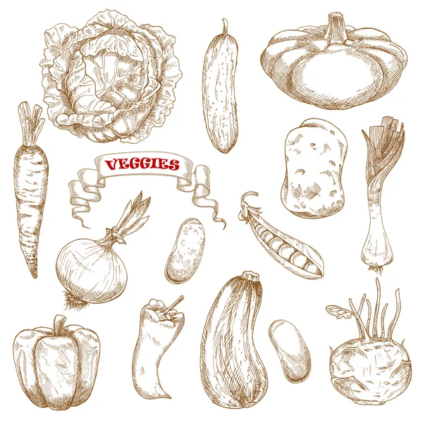 Healthy organic isolated vegetables sketches — Διανυσματικό Αρχείο