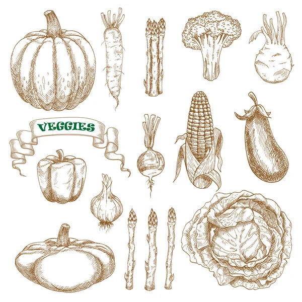 Garden and farm vegetables sketches set — Stok Vektör